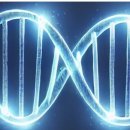 퍼스트바이오 이미지