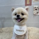 몽아뜨 이미지