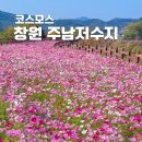 주남저수지 단풍나무화장실 이미지