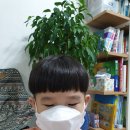 아이쓰리디디자인 이미지