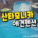 모니카애견 | 거제 산타모니카애견펜션 내돈내산 후기