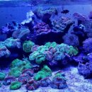 신반포로45길 59 이미지