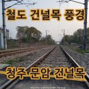 기차마을아파트 | 무궁화호 기차가 통과하는 작은 철도건널목 풍경 청주 문암건널목