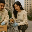 동물보육원 용인지부 이미지