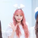 채원 이미지