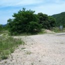 선어대매운탕 이미지