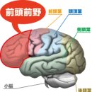푸른야채 이미지