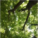 고잔근린공원 이미지