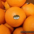 대전한국병원 이미지