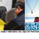 멍멍이네 이미지