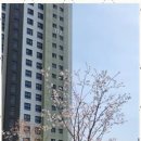 홈런부동산공인중개사사무소 네이버블로그