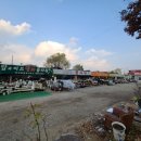 신세대뱅크플라워