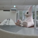 양양 | 파라타항공 제주 양양 항공권 후기 밤 비행기 좌석