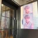 바운스헤어캠프로데오점 네이버블로그