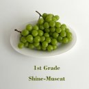 오케이샤인