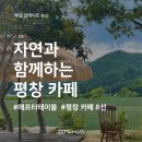 미드테이블컴퍼니 이미지