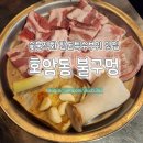 사천개로 이미지