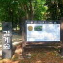 거창-북상-4 이미지