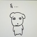 포캣 네이버블로그