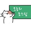 오닉스네일 이미지