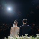 더메이호텔 이미지