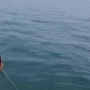 (서해대광어) 5/10일 출조 영상~~~(굼님만 보삼) 이미지