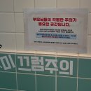 똥강아지이발소 | 풍덩 워터룸 위례점/ 5살,4살(35개월),100일아가 솔직후기_내돈내산