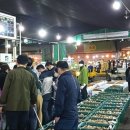 농수축산물공판장 | 시세,,, 단상