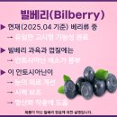 세계로메디칼약국 이미지