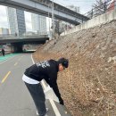 슈가복싱 이미지