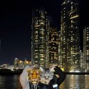 디테일홀릭 | 부산여행 요트홀릭 부산데이트 밤바다 불꽃놀이 추천 후기