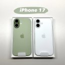 그린 | 아이폰17 실물 색상 비교｜화이트 vs 세이지그린 후기 (아이폰14프로와 스펙 차이 정리)