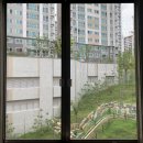 대명천로 네이버블로그