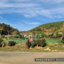 자원부동산중개사무소 이미지