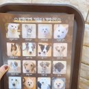 번우농장 이미지