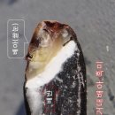 산들농산