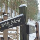 상관편백숲 공영주차장 이미지