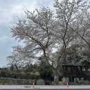 파스타시즌 이미지