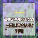희망의 꽃밭에서 | 도심 속 보랏빛 휴식 라벤더 축제가 한창인 양산 대형카페 느티나무의사랑