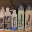 버블퍼피 이미지