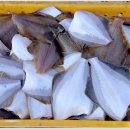 공현진항 이미지