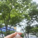 우리타바코