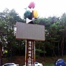 고령 관광안내소 이미지