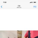 디어포레스트