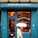 도시 강아지 이미지