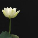 수원-0709 이미지