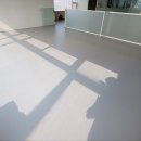 댕댕학당 이미지