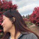 하천리-4 이미지