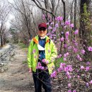 꽃, 이어라 이미지