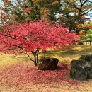 세종 행정사 사무소 이미지